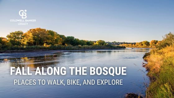 Fall Along the Bosque: Scenic Places to Walk, Bike, and Explore in Albuquerque | Coldwell Banker Legacy